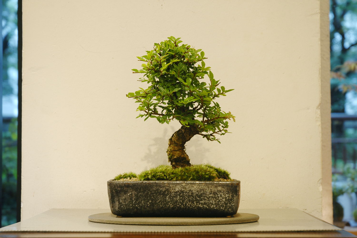 200728-4